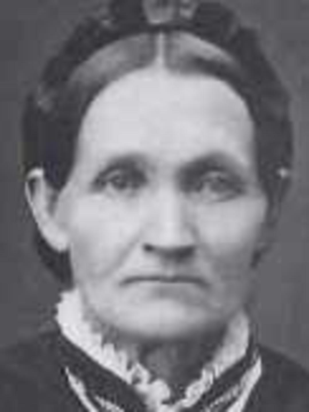 Sarah Ann Nelson Peterson (1827 - 1896) Profile